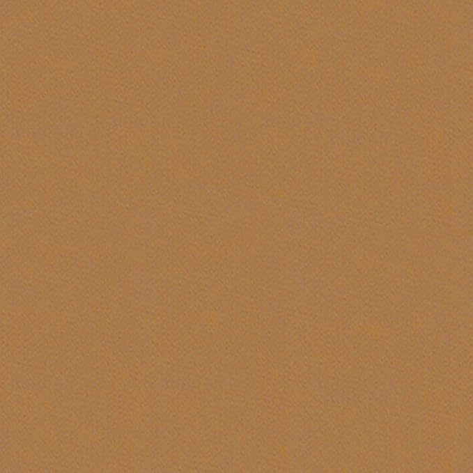 SOVONCARE Instantly Hairline Powder, Hairline Shadow Gray Hair Coverage Touch Up Hair Powder for Thinning Hair for Women Hair Root Touch Up Powder Hair Root Cover Up Conceals Hair Loss Dark Blonde