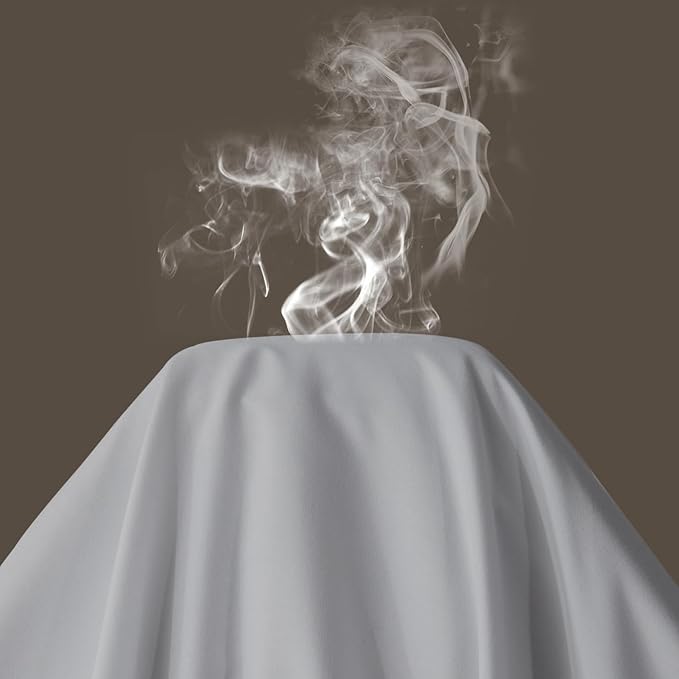 Maple&Stone Twin Flat Sheet 6 Pack,Premium Soft & Breathable,Brushed Microfiber Fabric,Anti-Shrinkage & Non-Fading,Bulk Flat Sheets Only Twin Size(Light Grey)