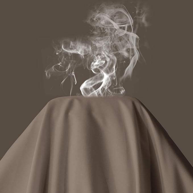 Maple&Stone Queen Flat Sheet 6 Pack,Premium Soft & Breathable,Brushed Microfiber Fabric,Anti-Shrinkage & Non-Fading,Bulk Flat Sheets Only Queen Size (Brown)