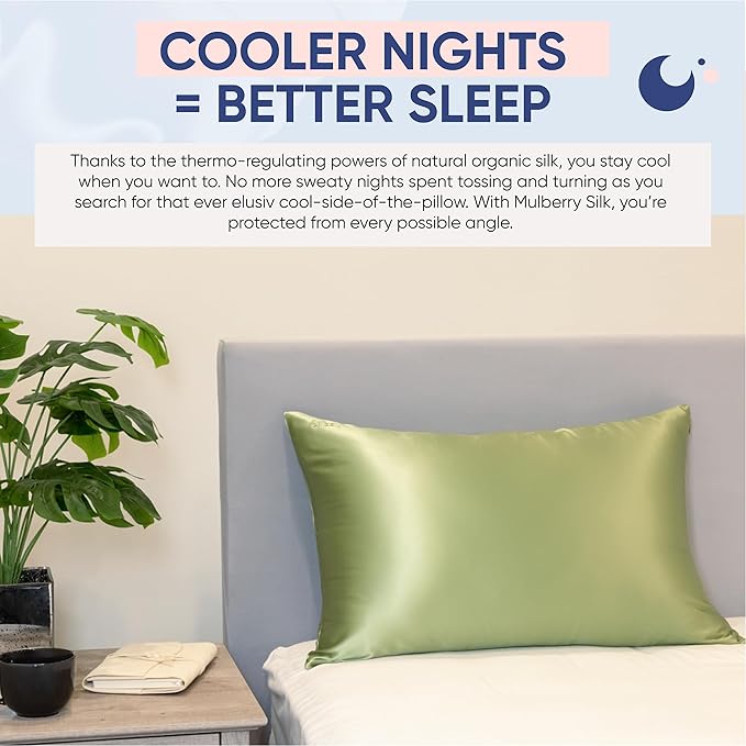 Blissy Silk Pillowcase - 100% Pure Mulberry Silk - 22 Momme 6A High-Grade Fibers - Silk Pillow Cover for Hair & Skin - Regular, Queen & King (Olive, Queen)