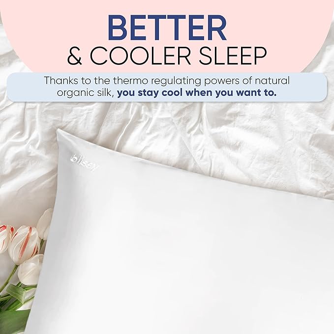 Blissy Silk Pillowcase - 100% Pure Mulberry Silk - 22 Momme 6A High-Grade Fibers - Silk Pillow Cover for Hair & Skin - Regular, Queen & King (Blissy White, Queen)