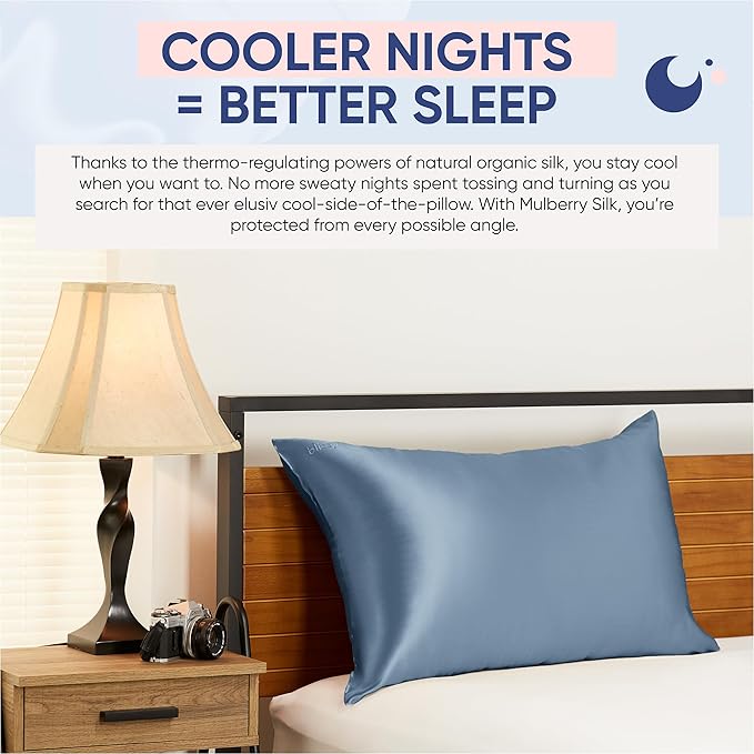 Blissy Silk Pillowcase - 100% Pure Mulberry Silk - 22 Momme 6A High-Grade Fibers - Silk Pillow Cover for Hair & Skin - Regular, Queen & King (Ash Blue, King)