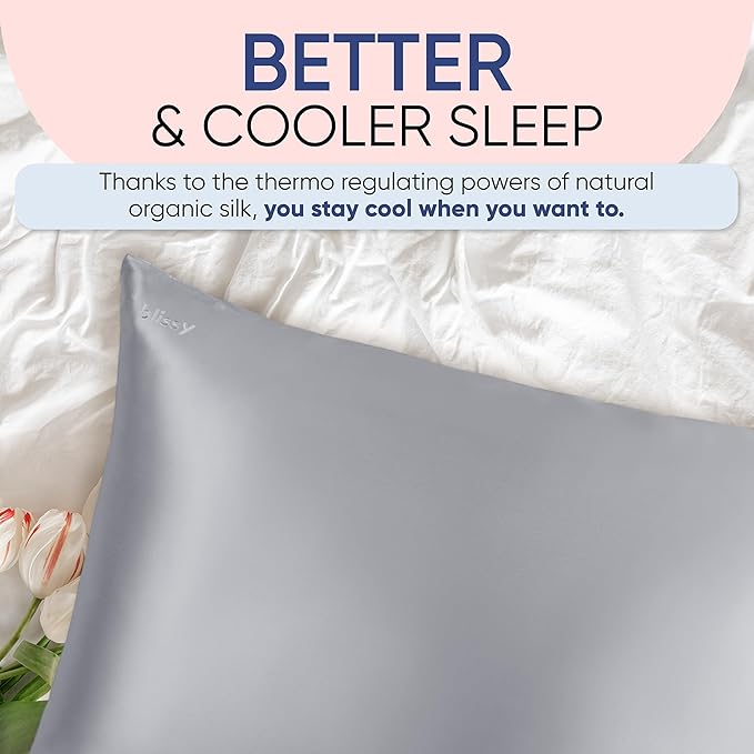 Blissy Silk Pillowcase - 100% Pure Mulberry Silk - 22 Momme 6A High-Grade Fibers - Silk Pillow Cover for Hair & Skin - Regular, Queen & King (Silver, Standard)