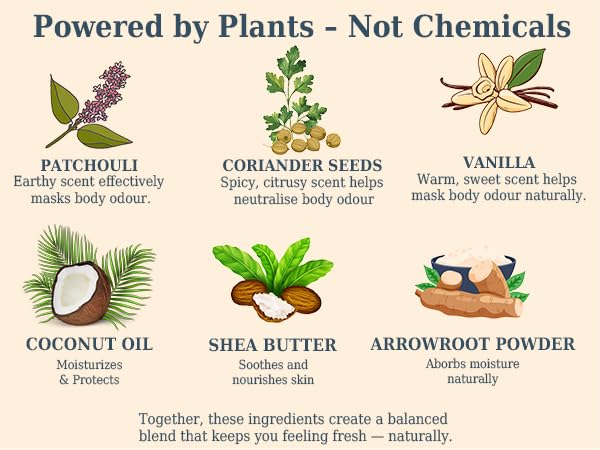 The Ilex Wood Natural Deodorant - 2.4fl oz. Handmade, Aluminum Salt Free, Plastic Free, Cruelty and Alcohol Free, Vegan, Eco Friendly Cardboard Tube – Spiced Patchouli (Spicy and Woody)