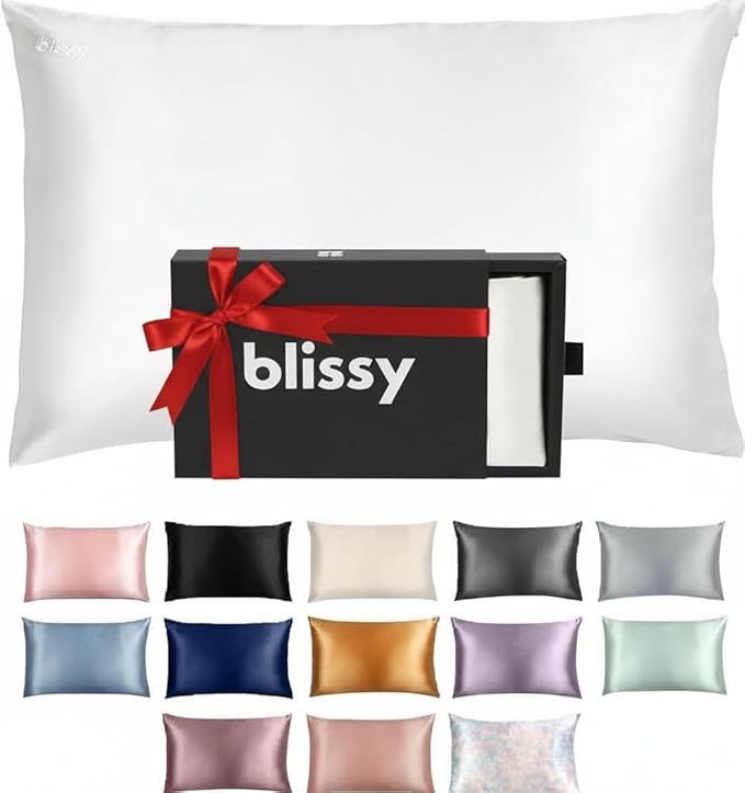 Blissy Silk Pillowcase - 100% Pure Mulberry Silk - 22 Momme 6A High-Grade Fibers - Silk Pillow Cover for Hair & Skin - Regular, Queen & King (Blissy White, Queen)