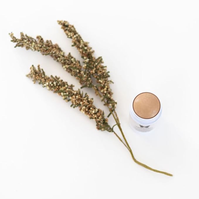 Enchanted Butterfly Tinted Antiperspirant Deodorant Stick- Light Tone For Woman, Invisible on Light Skin Tones For a Natural Look! Fresh Scent, For all Day Protection 2.5oz 1 count Original