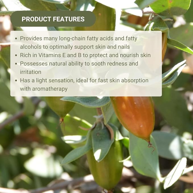 Nature Packaged Jojoba Oil - Direct from EIR Oils' Farm in Israel - 100% Pure Carrier Oil for Hair, Face, and Skin - Hand-Picked, Cold-Pressed Carrier Oil (16oz)