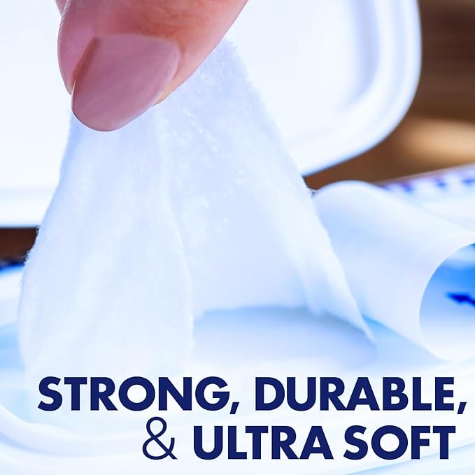 Homecare Pro Oversized Daily Cleansing Adult Wipes With 6 Moisturizers Wet Cleansing, Rinse Free, Bathing Wipes, Hospital Grade pH Balanced for Fragile Skin - | 48 Count XL |- 6 Pack