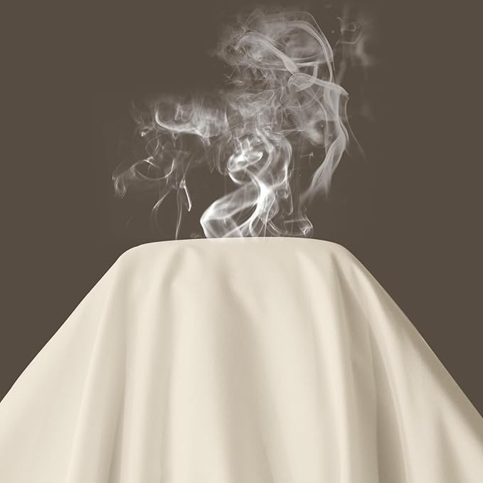 Maple&Stone Twin Flat Sheet 6 Pack,Premium Soft & Breathable,Brushed Microfiber Fabric,Anti-Shrinkage & Non-Fading,Bulk Flat Sheets Only Twin Size (Cream White)