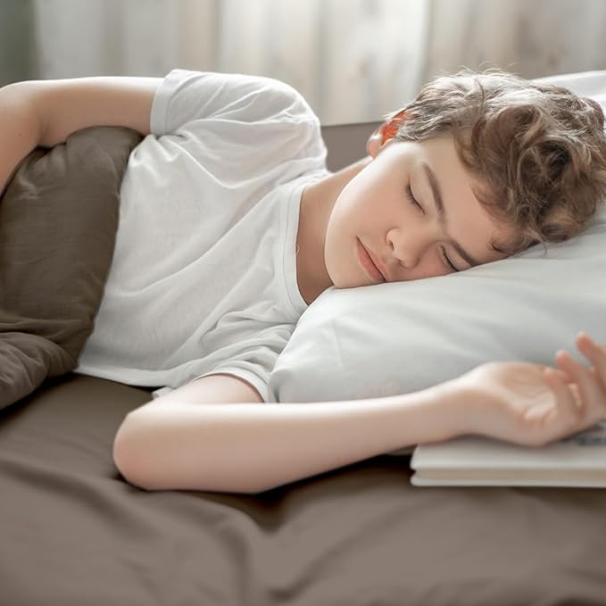 Maple&Stone Twin Flat Sheet 6 Pack,Premium Soft & Breathable,Brushed Microfiber Fabric,Anti-Shrinkage & Non-Fading,Bulk Flat Sheets Only Twin Size (Brown)