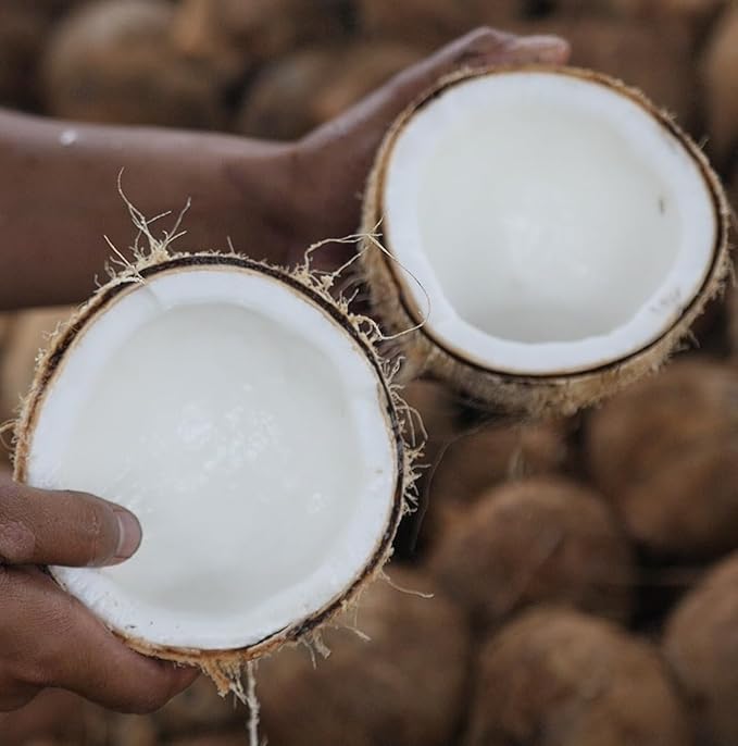 Nature Packaged Fractionated Coconut Oil - Sourced Directly from our Farm Partner in the Philippines - Carrier Oil for Diluting Essential Oils, Body, Hair, and Skin Moisturizer - (4Gallons)