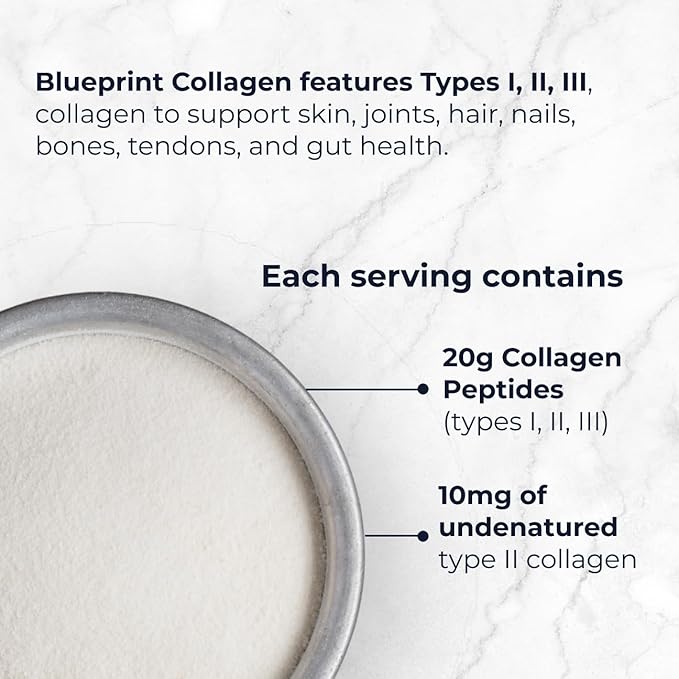 Blueprint Bryan Johnson Hydrolyzed Collagen Peptides Powder – Type I, II & III Collagen for Women & Men – Unflavored Protein Supplement for Hair, Skin, Nails, Joints & Cartilage – 20g – 30 Servings