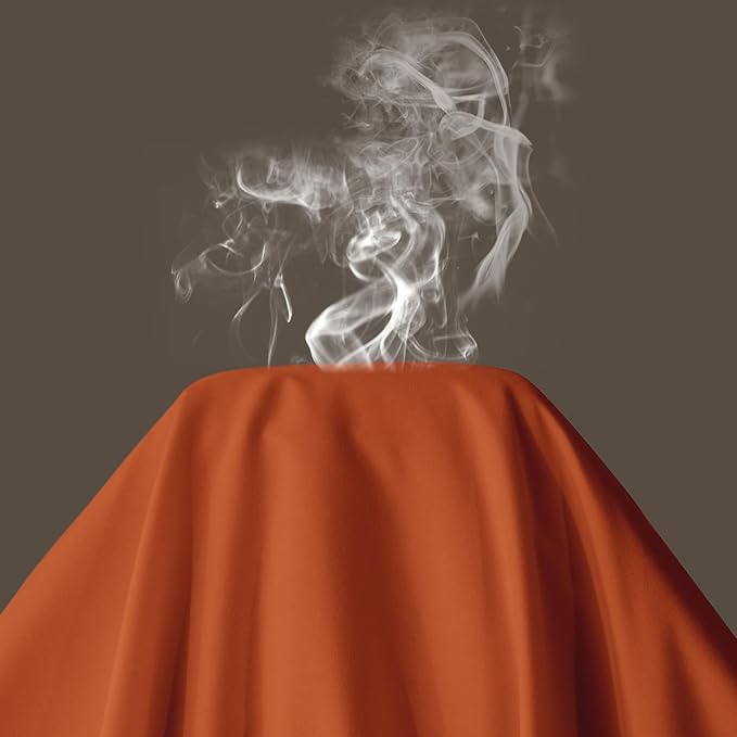 Maple&Stone Twin Flat Sheet 6 Pack,Premium Soft & Breathable,Brushed Microfiber Fabric,Anti-Shrinkage & Non-Fading,Bulk Flat Sheets Only Twin Size (Burnt Orange)