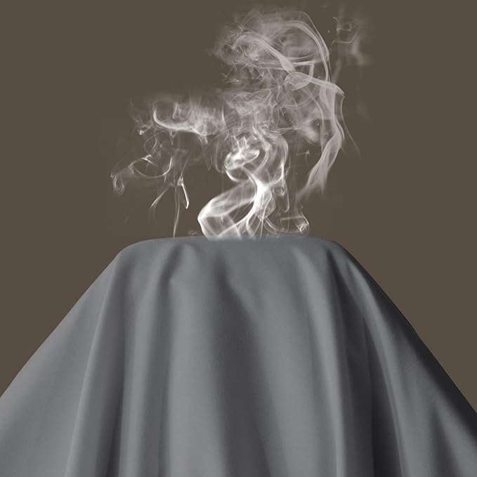 Maple&Stone Queen Flat Sheet 6 Pack,Premium Soft & Breathable,Brushed Microfiber Fabric,Anti-Shrinkage & Non-Fading, Bulk Flat Sheets Only Queen Size (Grey)