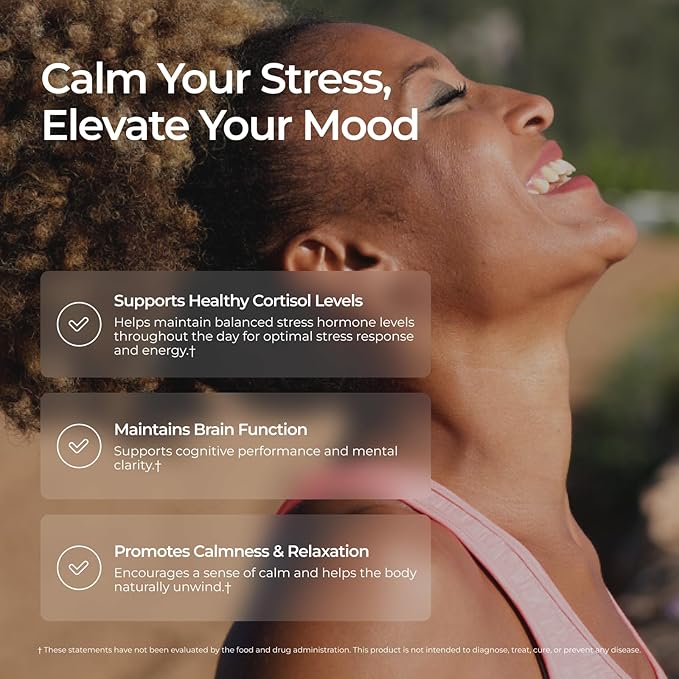 Livingood Daily Stress Support, 12-in-1 Supplement with Ashwagandha, Reishi Mushroom, Vitamin B6, Adaptogenic Herbs & Magnesium, Supports Mood & Calm, Gluten Free, Vegan, 60 Vegetarian Capsules