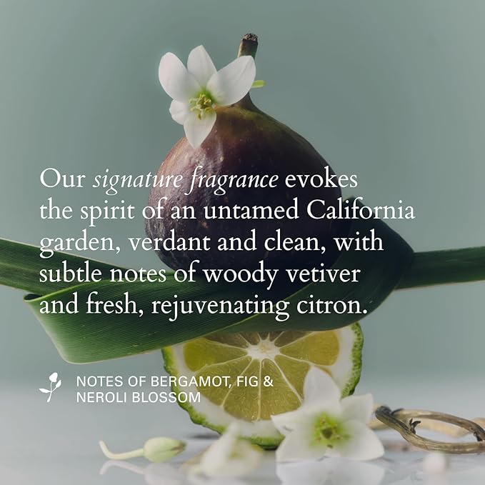 RŌZ Willow Glen Treatment Oil - Multi-Purpose, Organic Vegan Nourishing Oil for Hair, Scalp & Body, Vegan, Cruelty Free, 2 Fl. Oz. / 60 Ml