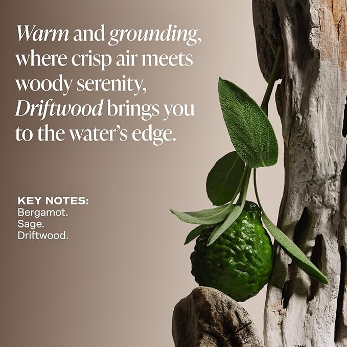 Saltair Serum Deodorant Driftwood 2 Pack. 5% AHA Formula. Lactic Acid and Mandelic Acid Deodorant. Aluminum-Free Odor Control for Women and Men. Travel Essentials, 2x 1.7oz Roll On