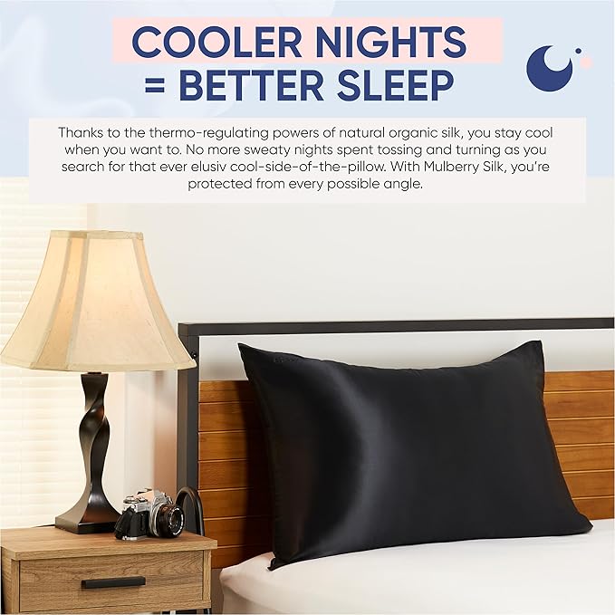 Blissy Silk Pillowcase - 100% Pure Mulberry Silk - 22 Momme 6A High-Grade Fibers - Silk Pillow Cover for Hair & Skin - Regular, Queen & King (Black, Queen)