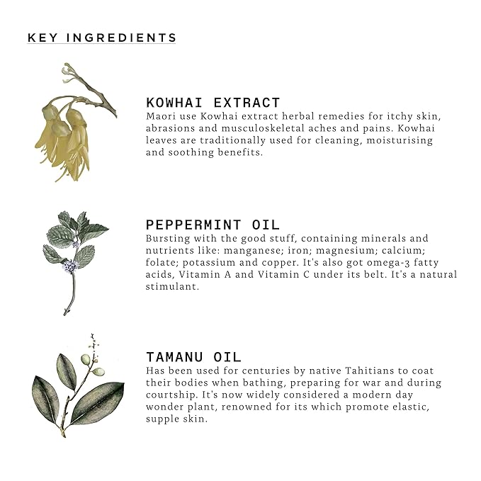 Triumph & Disaster | Noble Endeavour | Gentle, Cleansing Beard Wash - Sulfate-free foaming, 5.07 oz