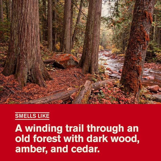 Every Man Jack Cedar + Red Sage Men’s Deodorant - Stay Fresh with Aluminum Free Deodorant For all Skin Types - Odor Crushing, Long Lasting, with Naturally Derived Ingredients - 3oz (2 Pack)