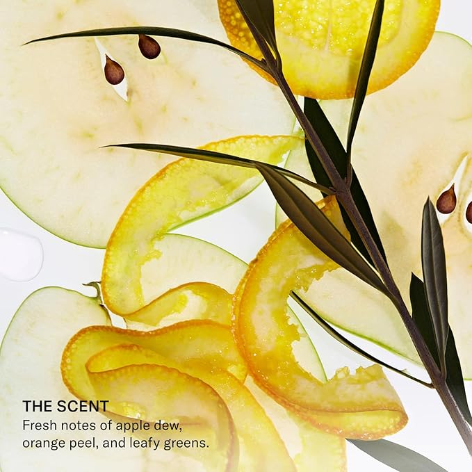 SEEN Shampoo - Scented - Non-Comedogenic & Hair Shampoo- Dermatologist-Developed - Safe for Sensitive & Acne Prone Skin