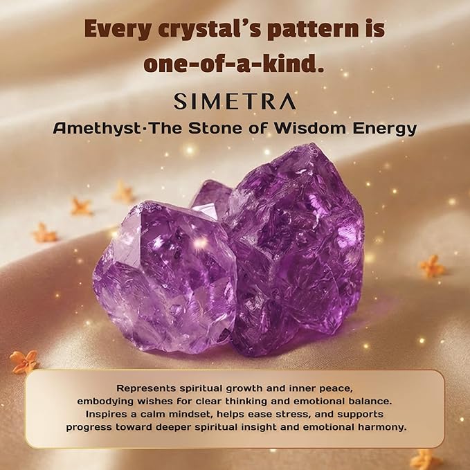 SIMETRA Lucky Hair Brush for Women & Men, 14K Gold Plated Wet Brush Detangling Brush for All Hair Types, Natural Crystal Inlay Boar Bristle Hair brush, Curly Detangler HairBrush for Scalp Massage Gift