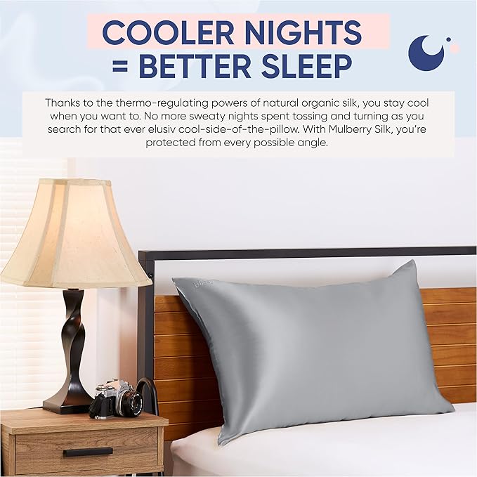 Blissy Silk Pillowcase - 100% Pure Mulberry Silk - 22 Momme 6A High-Grade Fibers - Silk Pillow Cover for Hair & Skin - Regular, Queen & King (Silver, Queen)