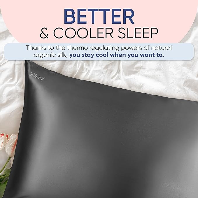 Blissy Silk Pillowcase - 100% Pure Mulberry Silk - 22 Momme 6A High-Grade Fibers - Silk Pillow Cover for Hair & Skin - Regular, Queen & King (Gray, Standard)