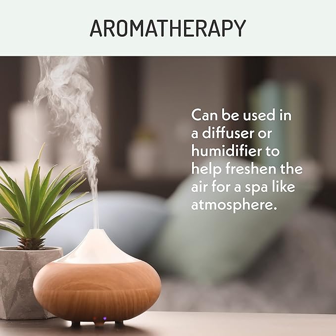 Eve Hansen Organic Tea Tree Essential Oil (2oz) | 100% Melaleuca Alternifolia Pure Tea Tree Oil for Skin, Scalp, Nails, Cuticles, Aromatherapy Diffusers, Household and DIY Uses