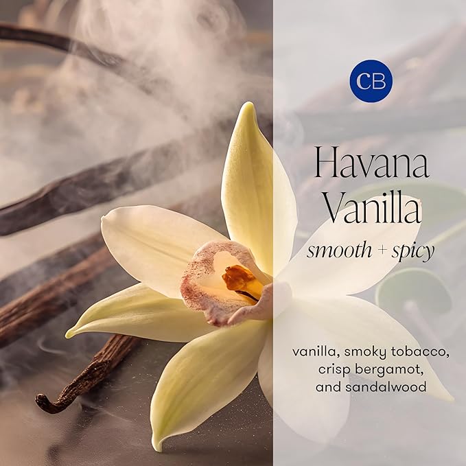 Capri Blue Havana Vanilla Reed Diffuser Set - Includes Reed Diffuser Sticks, Fragrance Oil, and Glass Bottle - Luxury Scented Room Fresheners - Cobalt Blue (8 fl oz)