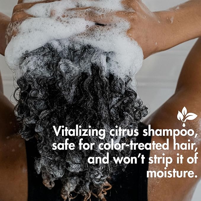 3-Step Loc Maintenance Kit - Clarify Weekly, Hydrate Daily & Seal Moisture | Shampoo, Rosewater Spray & Lightweight Oil for Locs & Textured Hair - Supports Healthy, Breakage-Free Locs