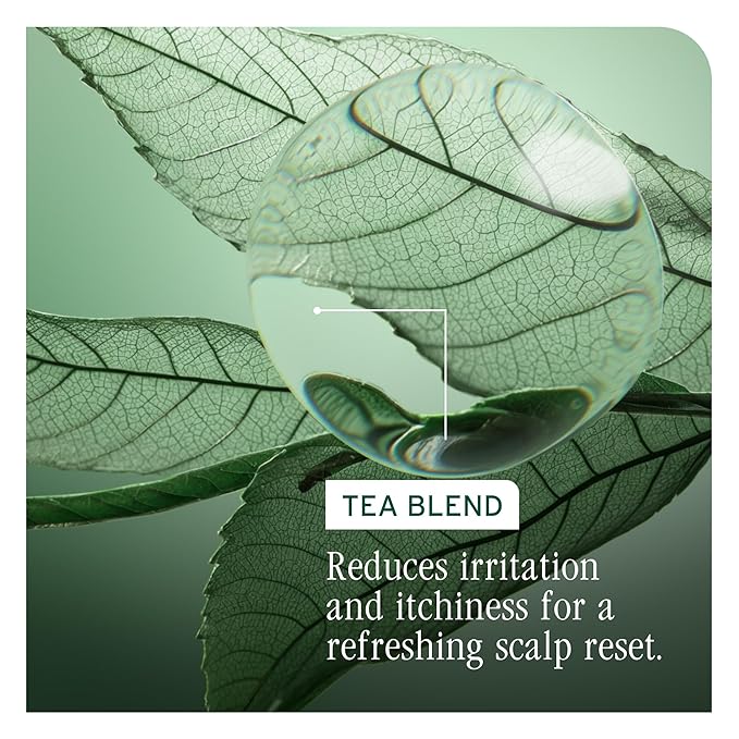 Biolage Scalp Sync Anti-Dandruff Shampoo - Controls Itchy Scalp, Deeply Cleanses Hair, Moisturizing Dandruff Treatment, With Zinc Pyrithione, Vegan & Cruelty-Free, 1.7 FL Oz