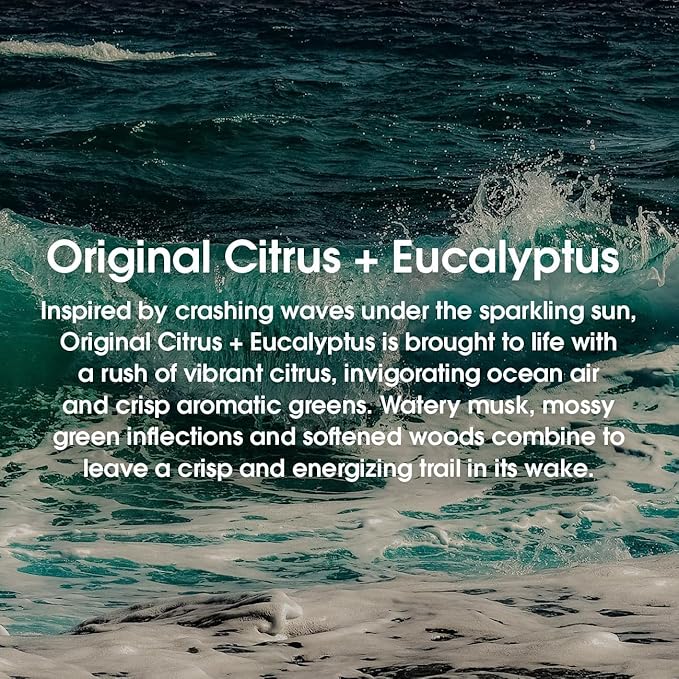Huron 48 Hour Odor Protection Deodorant – Long-Lasting & Nourishing Aluminum Free Deodorant – Infused with Shea Butter, Jojoba & Coconut Oil – 3 Signature Scents – 3.2 oz (2 Pack)