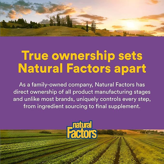 Natural Factors Pharma GABA - Dietary Supplement Supports Calm Sleep & Sleep Quality - Natural, Fast-Working Supplement Aids Focus & Brain Health - 60 Vegetarian Capsules (60 Servings)