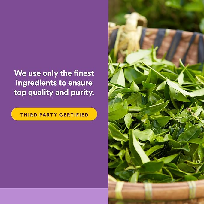 Natural Factors Suntheanine L-Theanine 100 mg - Health Supplement for Calm Outlook - L-Theanine Supplement Supports Relaxing Sleep & Aids Against Drowsiness - 60 Chewable Tablets (30 Servings)