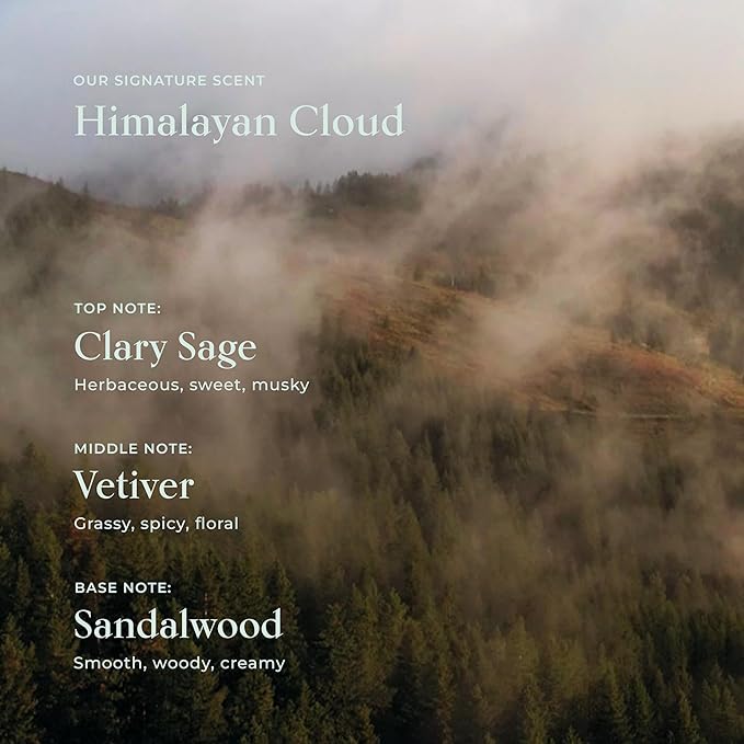 SHAZ & KIKS Ultra Hydrating Turmeric Shampoo | Deeply Moisturizing for Dry, Itchy, Flaky or Sensitive Scalp | Ayurvedic Turmeric & Kokum Butter | Natural, Vegan, Sulfate-Free, Color-Safe | 90ml