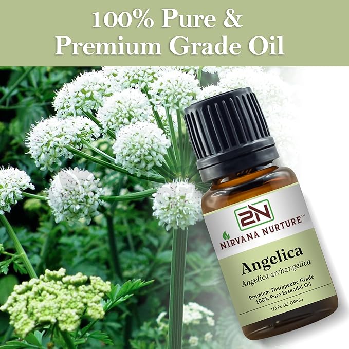 Angelica Essential Oil 100% Pure Premium Therapeutic Grade, Undiluted - Aromatherapy Diffuser for Calm and Relaxation, Skin Care, Hair Care