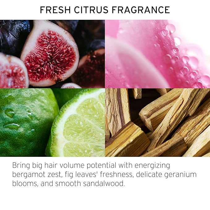 FEKKAI Full Blown Volume Texturizer - 5.5 oz - Dry Texturizing Spray - Delivers 2X the Volume for Up to 8 Hours - Free of Sulfates, Parabens, Phthalates - Vegan, Cruelty-Free