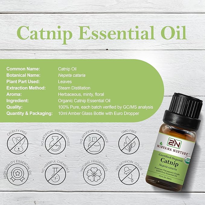 Catnip Essential Oil USDA Certified Organic, 100% Pure Natural Premium Grade, Undiluted