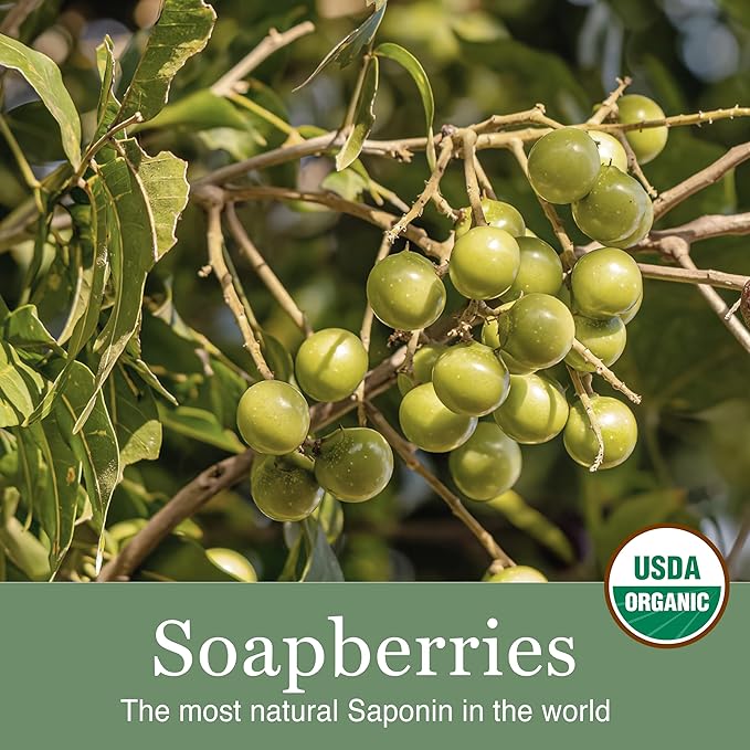 All-Natural Soapberry Feminine Wash (2 Pack) – pH-Balanced, Hypoallergenic Cleanser for Daily Comfort & Intimate Care | Fragrance/Paraben-Free, Supports Natural Moisture | Pregnancy-Safe