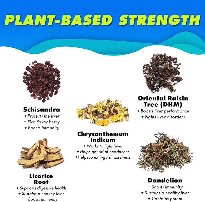 The Plug Liver Cleanse Detox & Repair Drink Electrolytes Organic Herbal Liquid Detoxify Body Plants Supplement Support Weight Loss Natural Health Hydrate Sports Energy Immunity Shots Minerals Vitamins