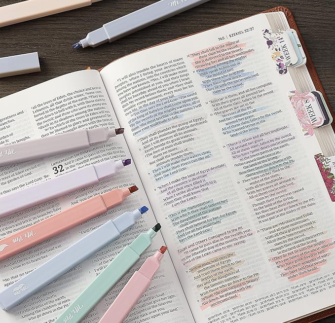 Mr. Pen- Aesthetic Highlighters, 16 pcs, Chisel Tip, Morandi Colors, No Bleed Bible Highlighter Pastel, Assorted Colors, Cute